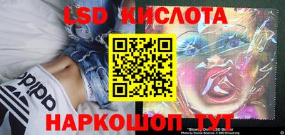 прущие грибы Северобайкальск