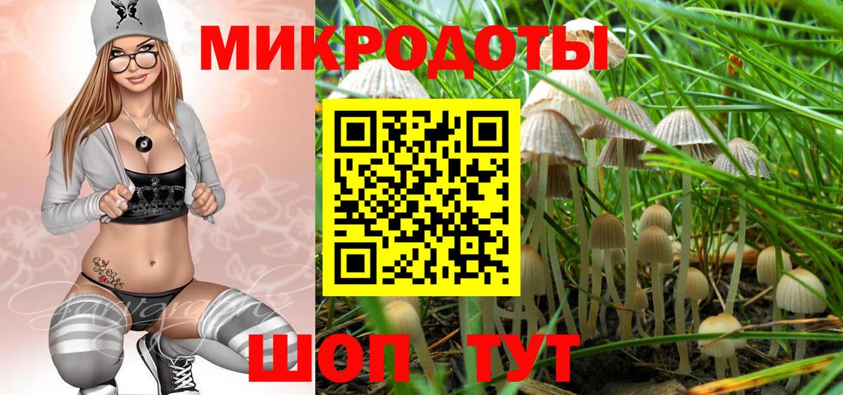 Псилоцибиновые грибы GOLDEN TEACHER  Псилоцибиновые грибы ЛСД  Вход с VPN  Октябрьский 